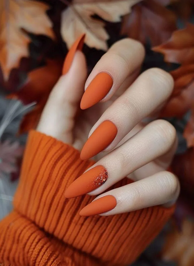 elegant fall nails 007 fd6baac907